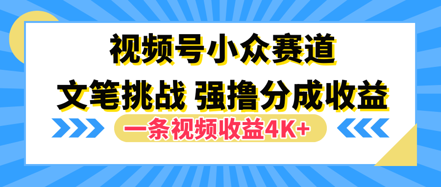 视频号小众赛道，文笔挑战，一条视频收益4K+-万图副业网