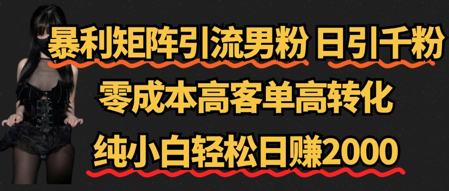 暴利矩阵引流男粉（日引千粉），零成本高客单高转化，纯小白轻松日赚2000+-万图副业网