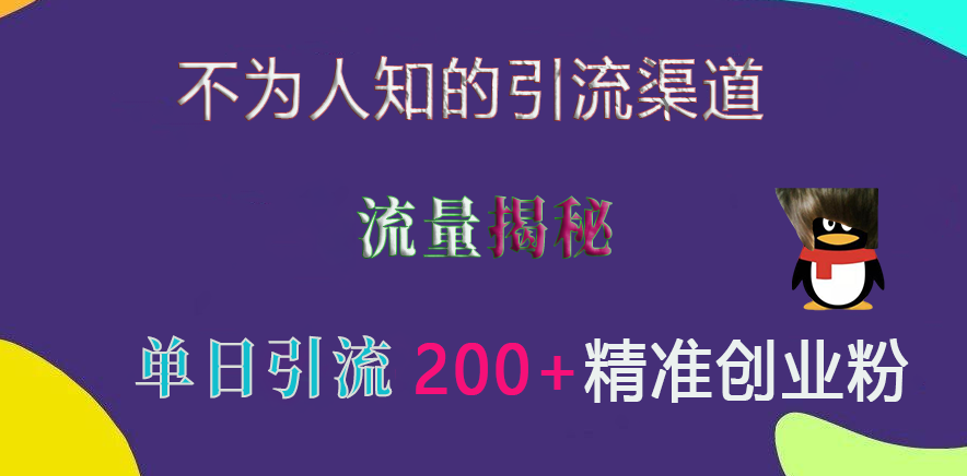 不为人知的引流渠道，流量揭秘，实测单日引流200+精准创业粉-万图副业网