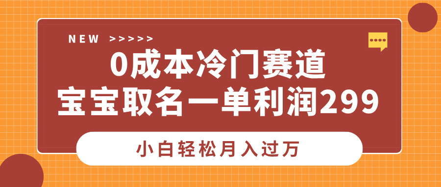 0成本冷门赛道，宝宝取名一单利润299，小白轻松月入过万-万图副业网