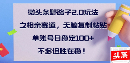 全网首发微头条野路子2.0玩法之相亲赛道，无脑搬砖复制粘贴，单账号日稳定300+保姆级教程-万图副业网