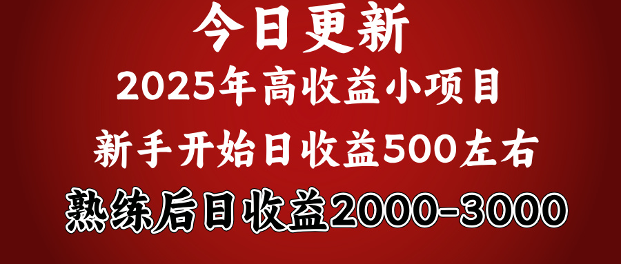 2025开年好项目，新手日收益500+ 熟练掌握后，日收益平均2000多-万图副业网