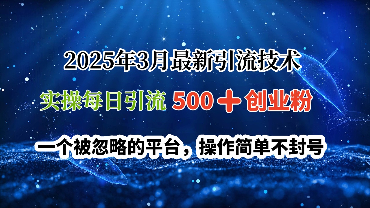 2025年3月最新引流技术，实操每日引流500➕创业粉，一个被忽略的平台，操作简单不封号-万图副业网